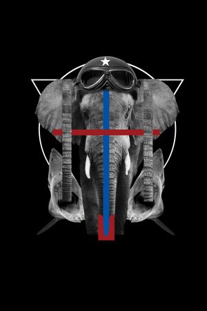 动物大象鲨鱼男装T恤印花华亿平台图片