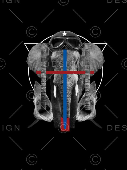 动物大象鲨鱼男装T恤印花华亿平台图片