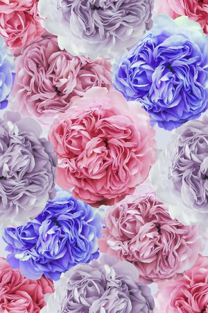 洋阳---花卉印花华亿平台图片