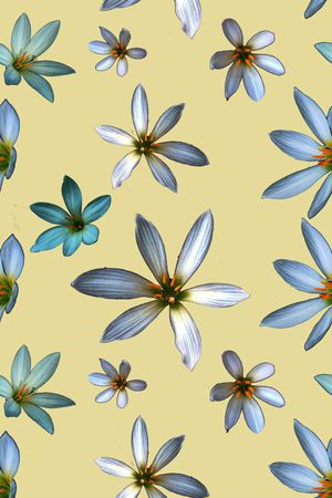 小碎花印花华亿平台图片