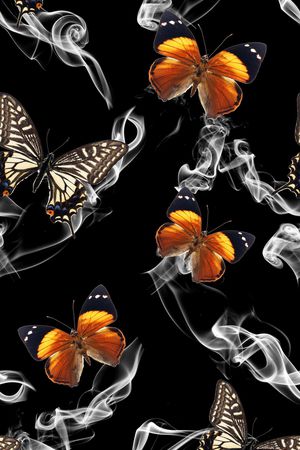 蝴蝶印花华亿平台图片