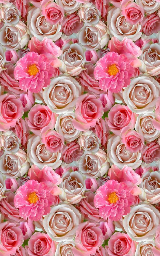 flower印花华亿平台图片