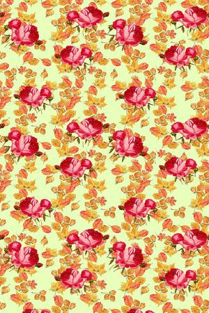 colorfull印花华亿平台图片