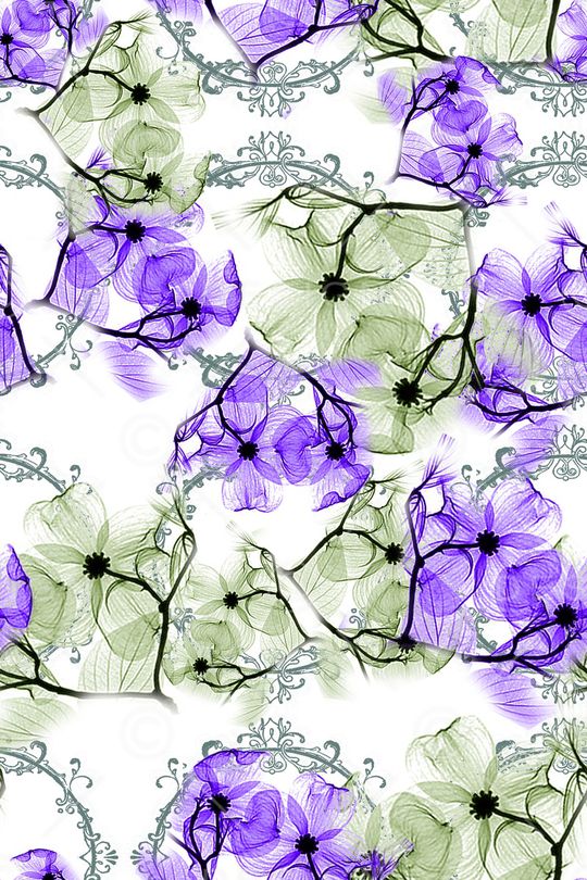 花朵印花华亿平台图片