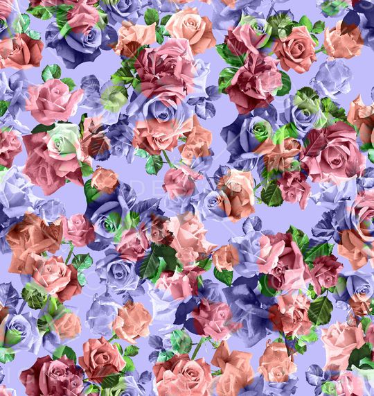 玫瑰印花华亿平台图片