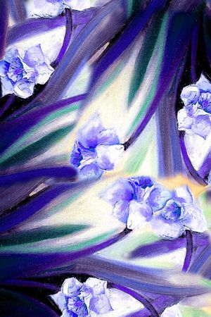 披肩长巾印花华亿平台图片