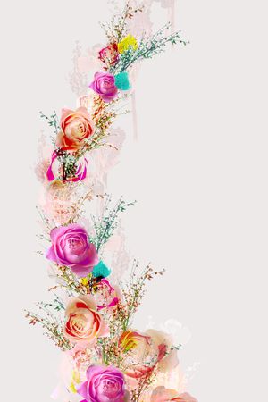 女装印花华亿平台图片