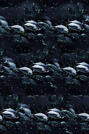 鱼印花华亿平台图片