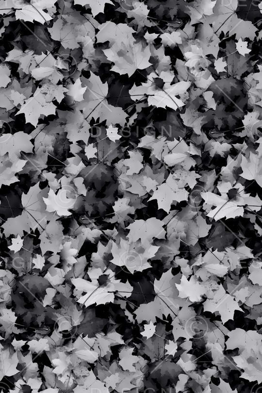 树叶印花华亿平台图片