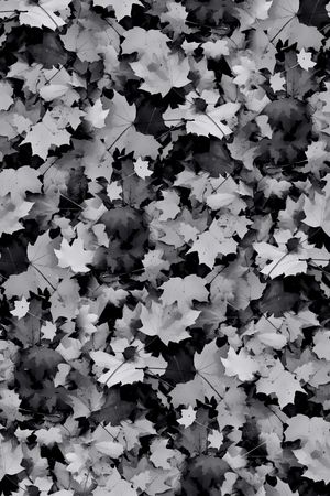 树叶印花华亿平台图片