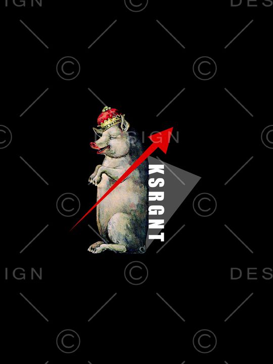 小猪印花华亿平台图片