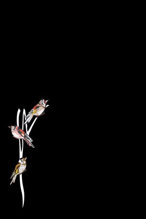 线条印花华亿平台图片