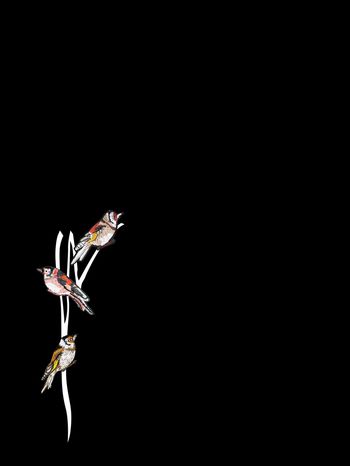 739315-838816111103b