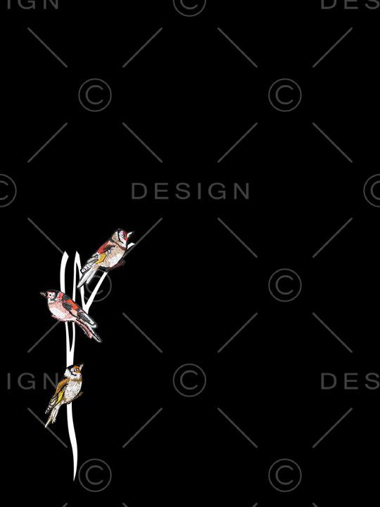 线条印花华亿平台图片