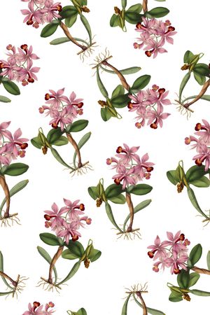 兰花印花华亿平台图片