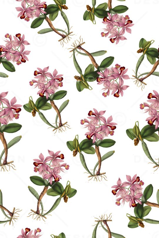 兰花印花华亿平台图片