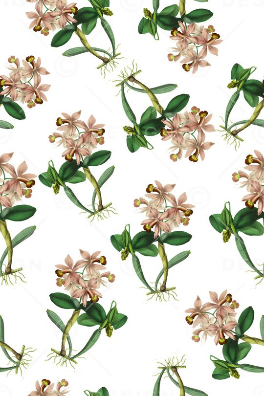 兰花印花华亿平台图片