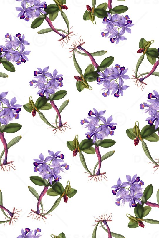 兰花印花华亿平台图片