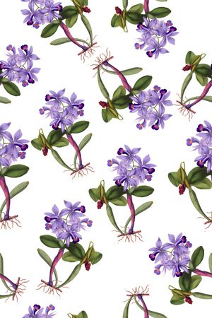 兰花印花华亿平台图片