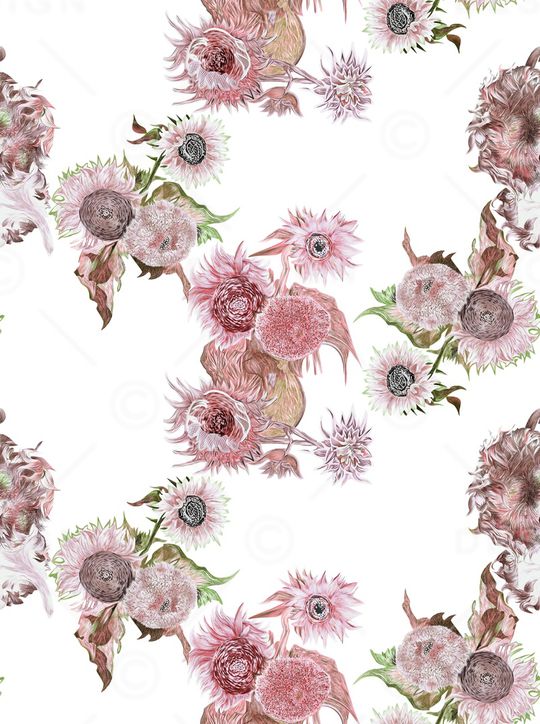 白底印花华亿平台图片