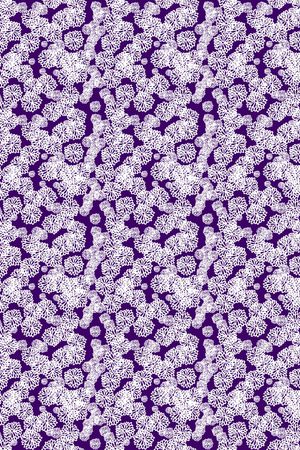 女装印花华亿平台图片