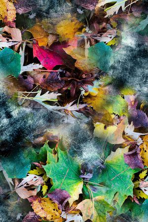 枫叶印花华亿平台图片