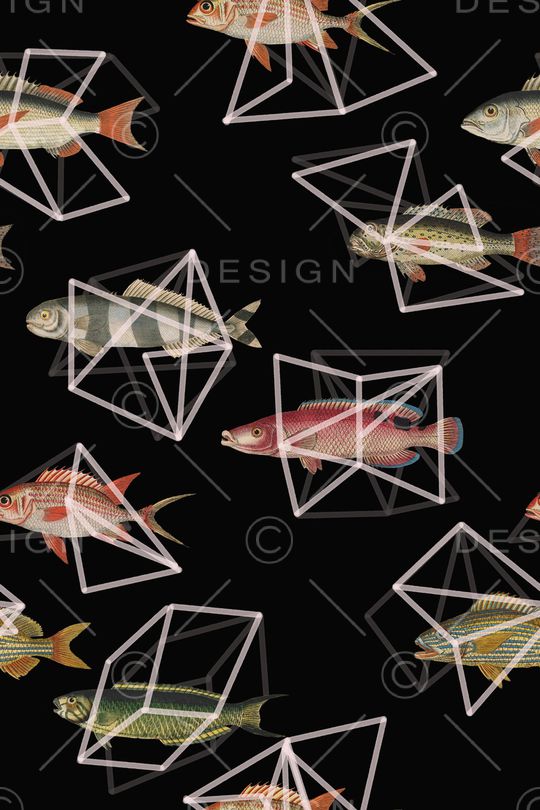 动物印花华亿平台图片