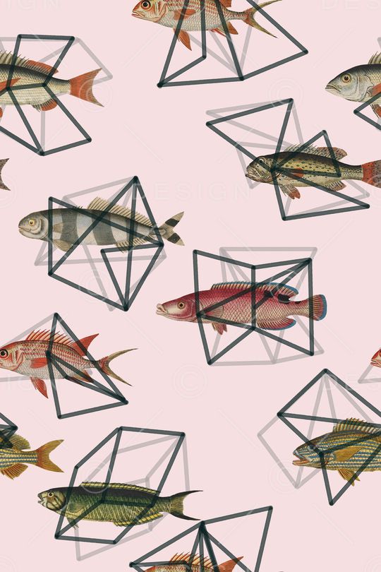 动物印花华亿平台图片