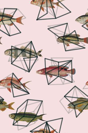 动物印花华亿平台图片