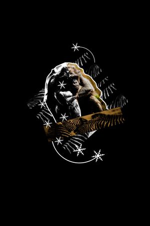 趣味动物印花华亿平台图片