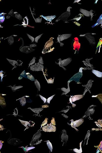 纯底印花华亿平台图片