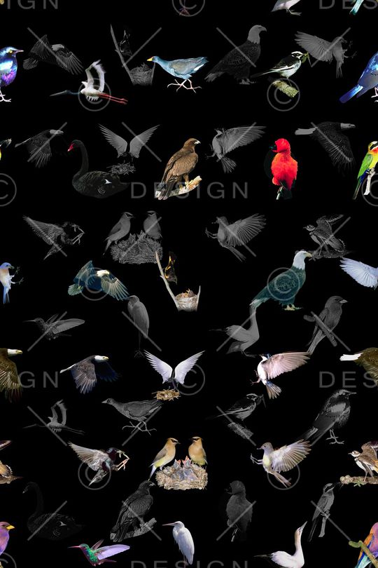 纯底印花华亿平台图片