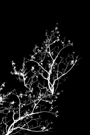 抽象纹理几何树数码印花印花华亿平台图片