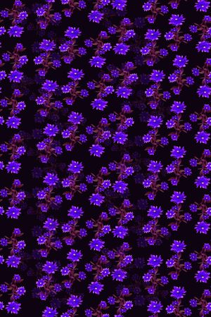 血红印花华亿平台图片