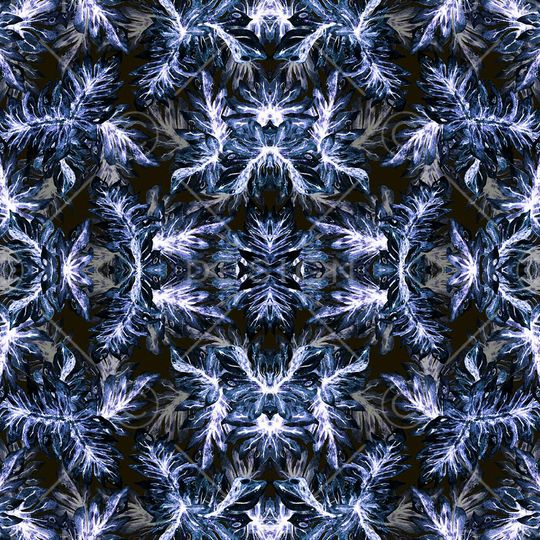 棕榈叶印花华亿平台图片