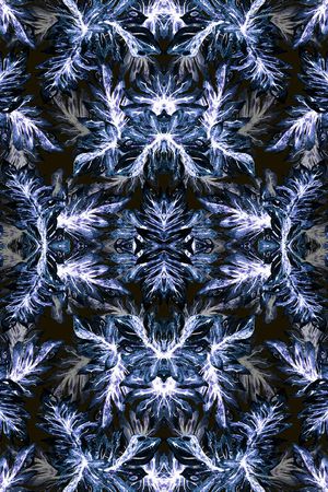 棕榈叶印花华亿平台图片