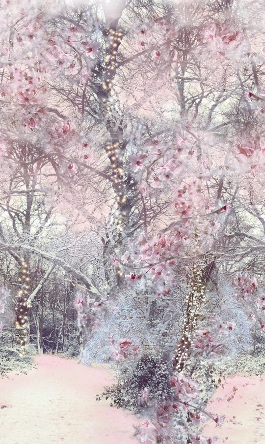 数码印花印花华亿平台图片