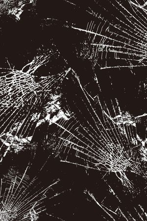 裂纹印花华亿平台图片