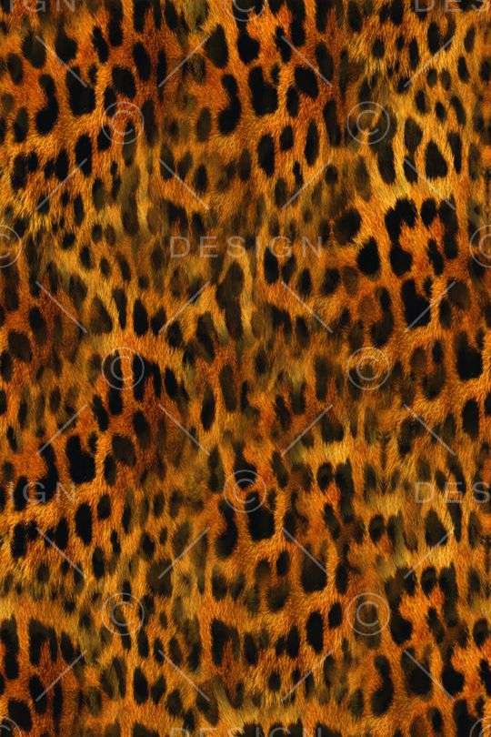 豹子印花华亿平台图片