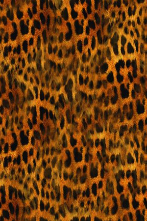 豹子印花华亿平台图片