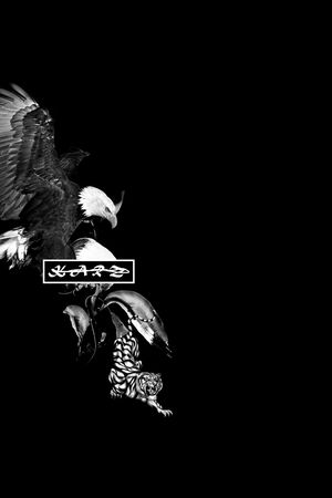 老鹰印花华亿平台图片