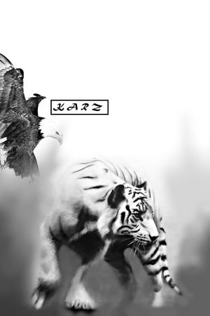 老虎印花华亿平台图片