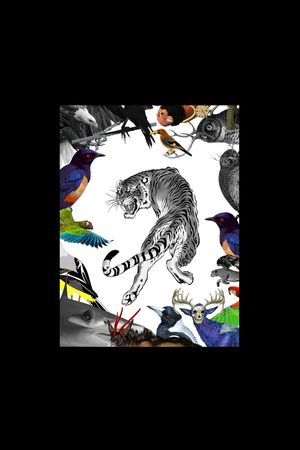 动物印花华亿平台图片