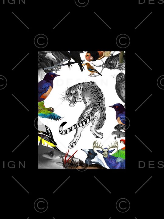 动物印花华亿平台图片