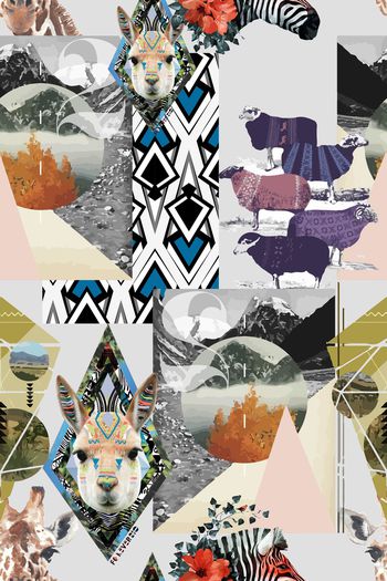 色彩印花华亿平台图片