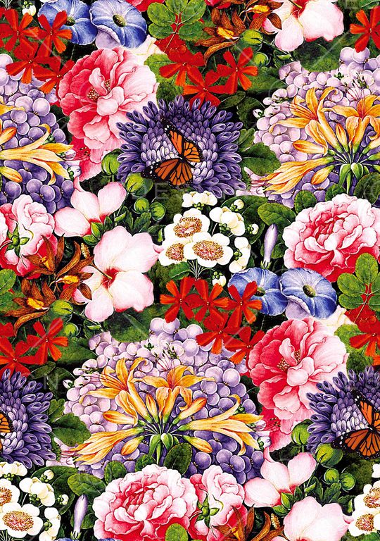 玉兰花印花华亿平台图片