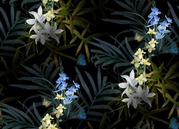 创意印花华亿平台图片