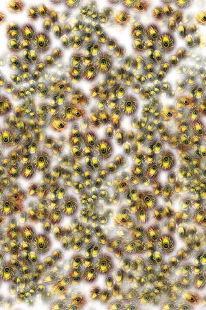 孔雀眼印花华亿平台图片