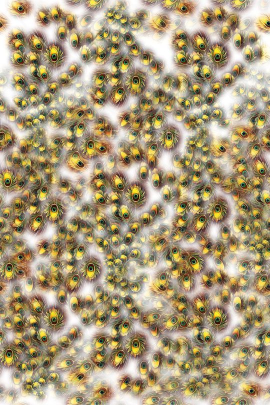 孔雀眼印花华亿平台图片