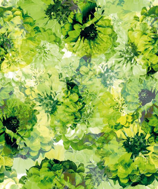 花瓣印花华亿平台图片